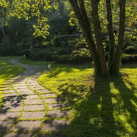 La Bussola Otel Marina di Massa